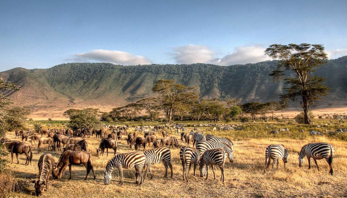 Trips to Tanzania, Africa