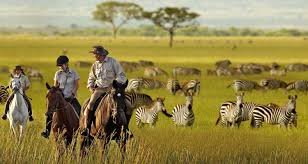 Planning Your Dream Tanzania Safari