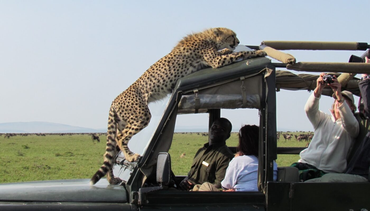 Best Month to Visit Tanzania