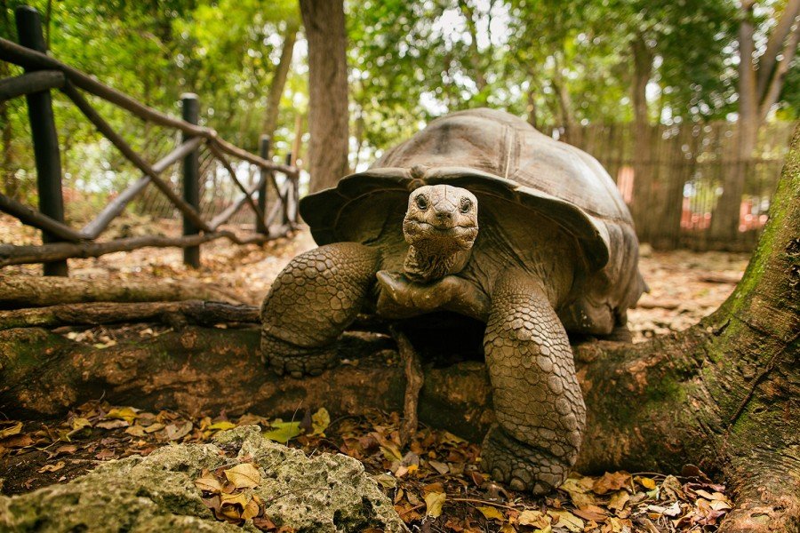 Tanzania Zanzibar