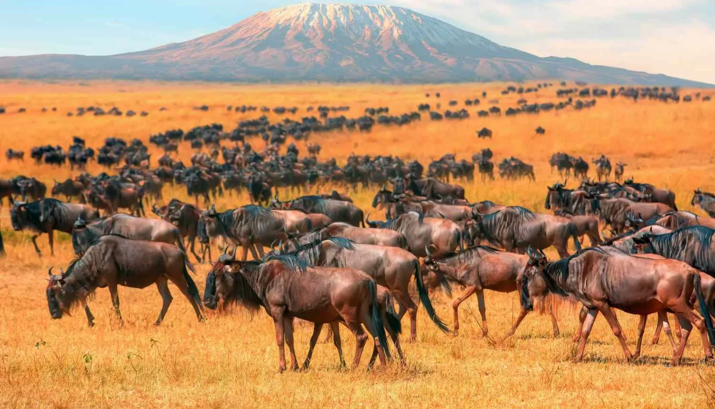 Tanzania National Parks