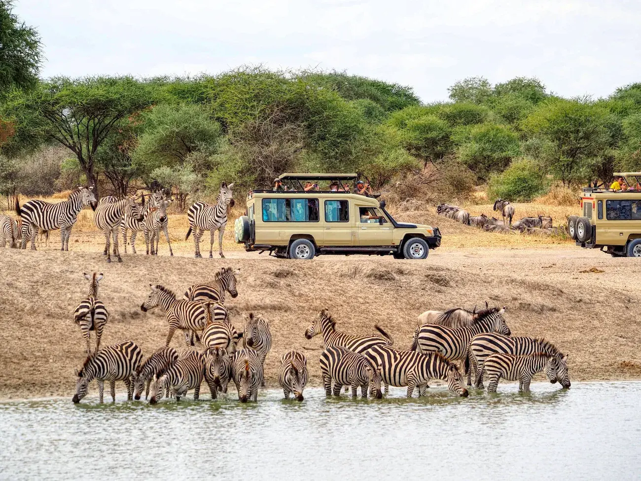 Serengeti Park Tanzania Safari